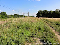 Ścieżka piesza wzdłuż torów kolejowych od strony cmentarza