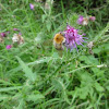 dsc01219.jpg