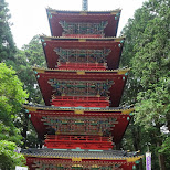 toshogu shrine in Nikko, Japan by Matt van Vuuren in Nikko, Totigi (Tochigi) , Japan