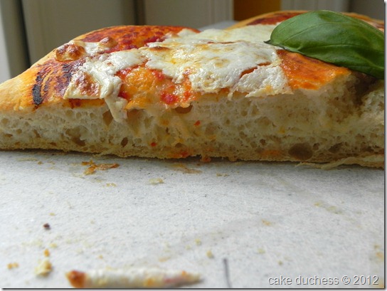sourdough-pizza-margherita-3 sourdough-pizza-margherita-3