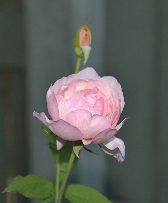 [IMG_3851%255B3%255D.jpg]
