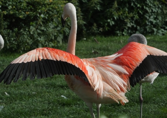 [IMG_0932%2520-%2520Copy%255B8%255D.jpg]