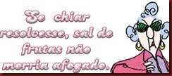 rir 22 rir 22