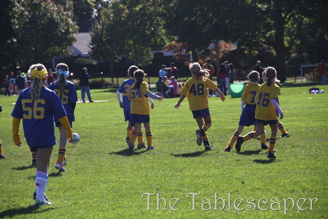 [Lara%2520Soccer%2520019%255B3%255D.jpg]