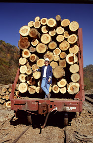 The Producers - Grass roots activist, Mary Wirth, posed for this 1997 photograph which appeared on the cover of an issue of Evergreen Magazine that focused on forests and forestry in the U.S. eastern hardwood region. Ms Wirth was then working as public and legislative affairs manager for the B.A. Mullican Lumber and Manufacturing, a Marysville, Tennessee company that makes hardwood flooring. Ms Wirth had spent enough time studying the West's problems with radical environmentalism to have decided that the same economic disaster that had by then befallen much of the rural West would soon begin to impact the rural East's timber communities. She was right.