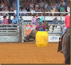 IMG_5548 IMG_5548