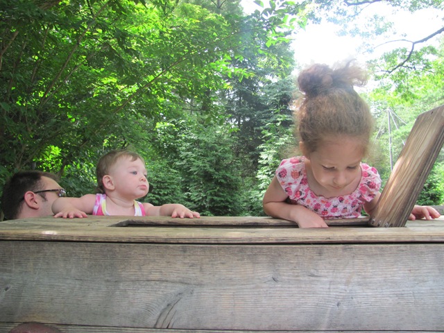 [IMG_8296%255B2%255D.jpg]