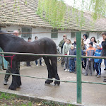 IMGP0249.JPG
