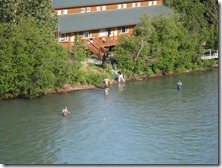 IMG_5636 IMG_5636