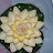DSC_0218.jpg DSC_0218.jpg