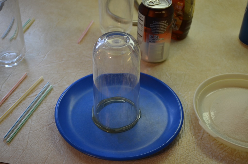 [DSC_0011%255B4%255D.jpg]