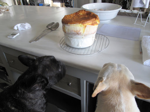 Sharkey, your soufflé is magnifique!  I'm most impressed!