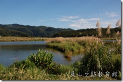 雙連埤 雙連埤
