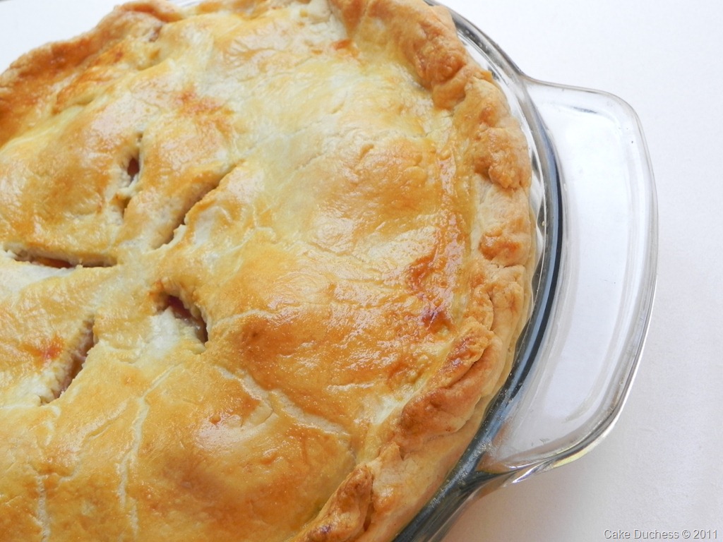 [DSCN8238%255B1%255D.jpg&description=Apple-Limoncello Pie')]