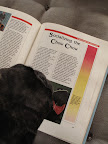 Oh good!  Here's a chapter on Socializing the Chow Chow.  I bet I can learn some useful tips here on good training techniques for little G.K.  There's something to be said for 'nipping it in the bud!'