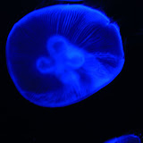 IMG_4743.JPG