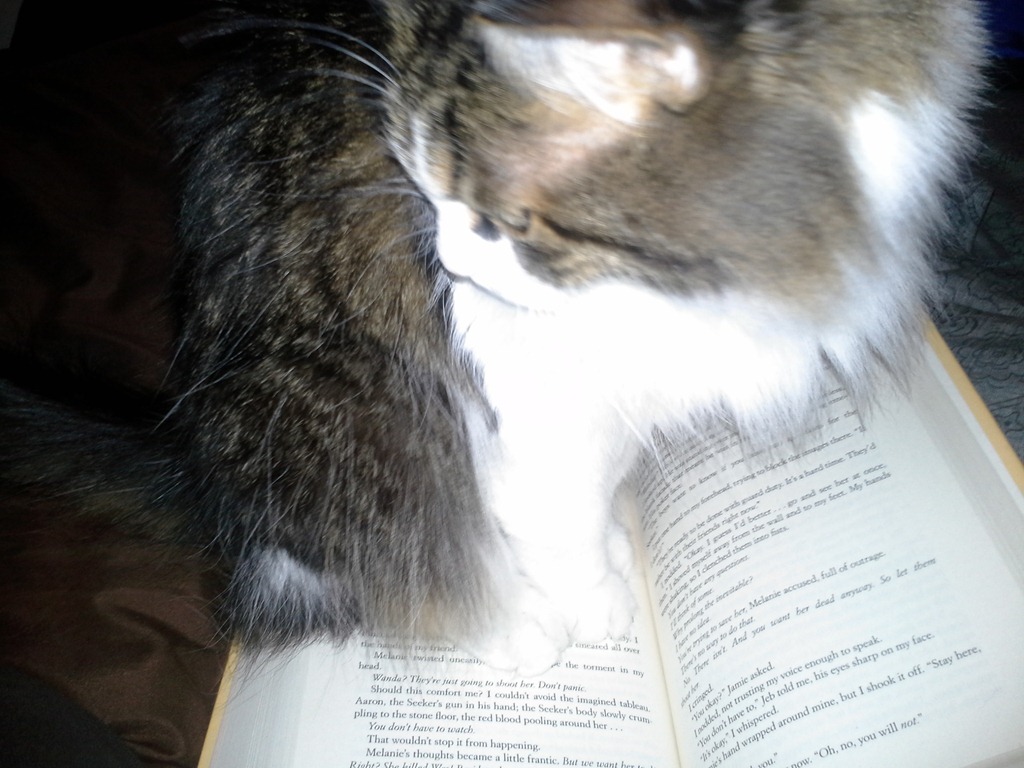 [20121206_085923%255B4%255D.jpg]