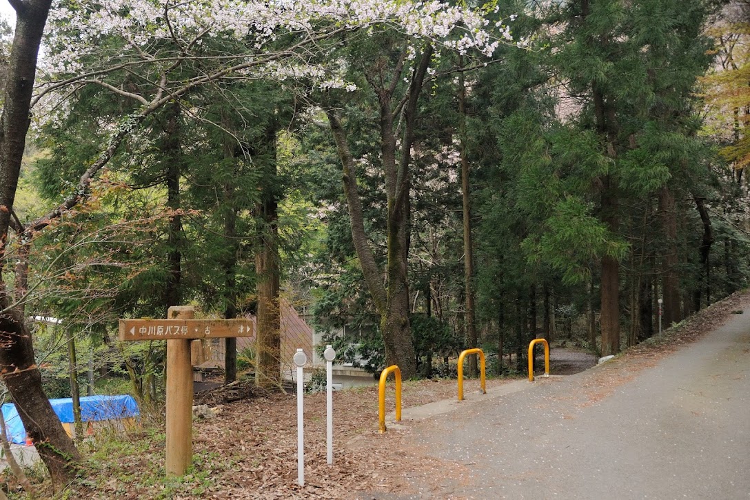 松尾池周辺