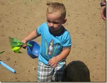 IMG_6040 IMG_6040