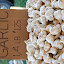 denver market 10-11 012.jpg