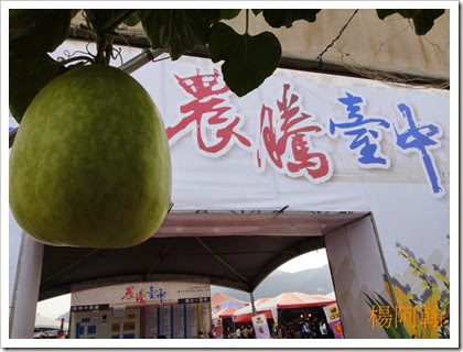 1119 081 - 台中新社花海 1119 081 - 台中新社花海