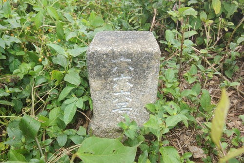 n7151omu6KBdHaFETPEjNg n7151omu6KBdHaFETPEjNg