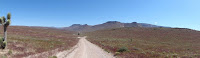 2011_05_CORE_Bar10_023.jpg Photo