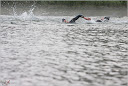 Roth_2010_087.jpg