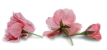 MomentsYou_TMGifTMM MomentsYou_TMGifTMM