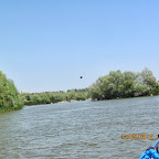 IMG_7710.JPG