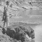 Beim Trinken am Fluss © Foto: Archiv Norman Carr Safaris