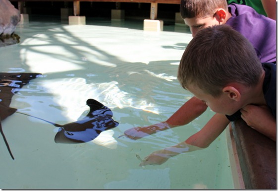 IMG_2717 IMG_2717