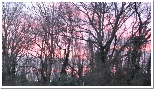 January 2012 012