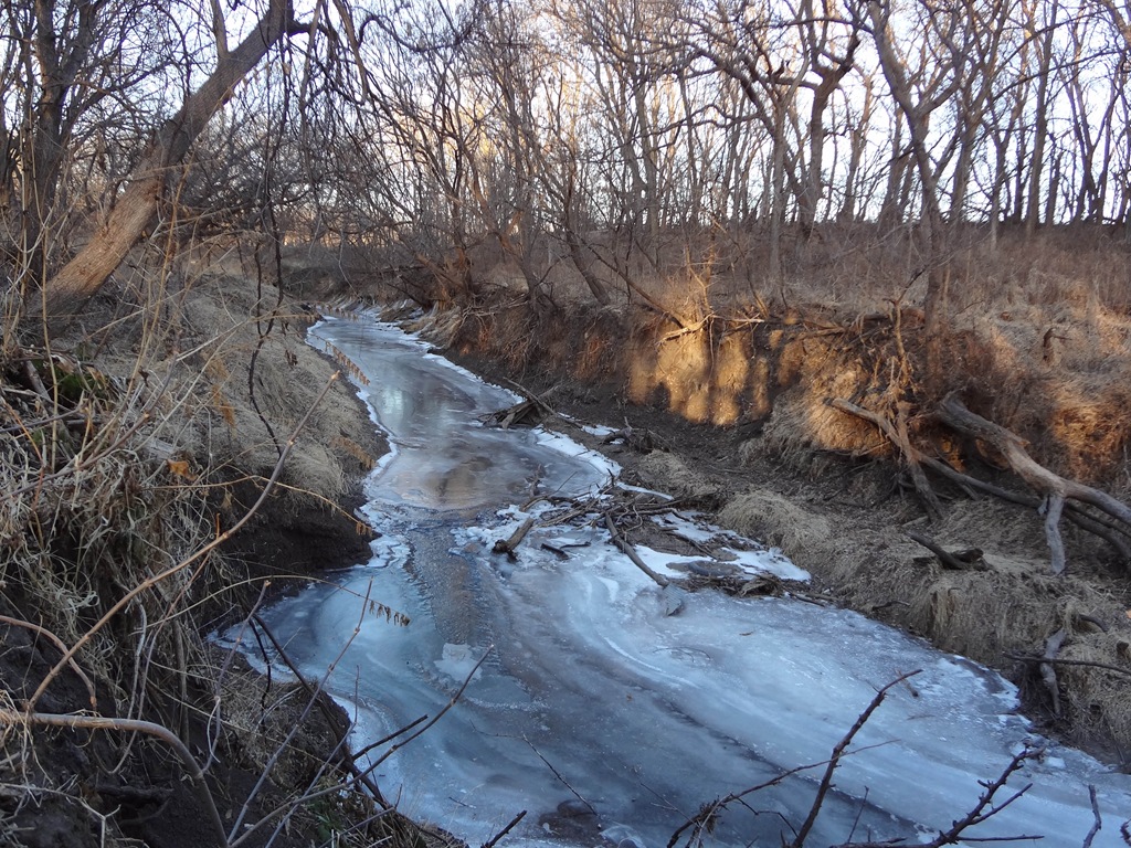 [DSC01092%255B5%255D.jpg]