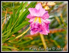 EFP-P1080542 EFP-P1080542