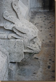 DSC_0316 DSC_0316