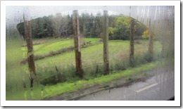 IMG_3322 IMG_3322