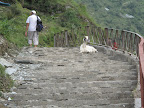 On the way to the waterfall