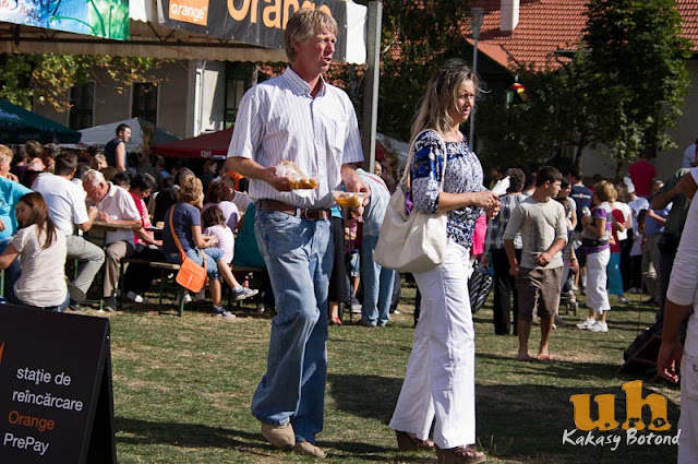 kaposzta fesztival g35.jpg
