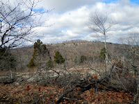 DSCN1910.JPG
