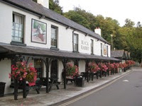 IMG_3487 IMG_3487