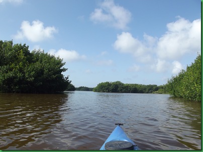 Coot Bay paddle 079