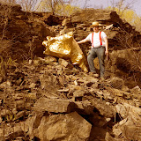 Solid Gold! - Solid%252520Gold%252520003.jpg
