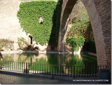 18-Palma de Mallorca. Jardines s'Hort del Rei -P4140048