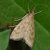 20120303_2