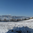 2011-12-20 (5).jpg