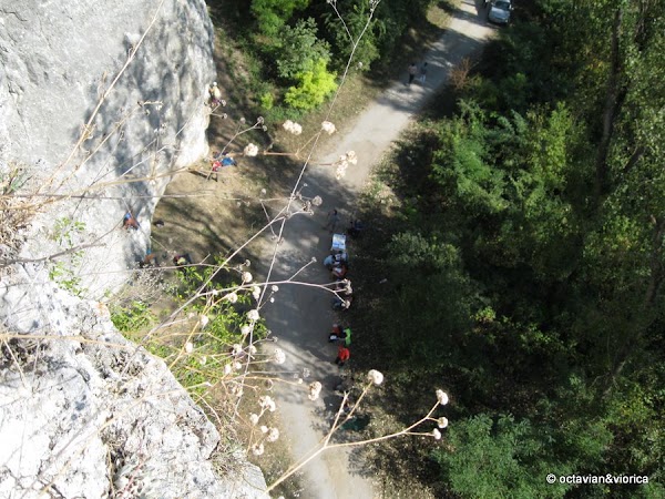basarbovo-15.jpg