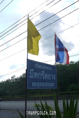[P10100452.jpg]