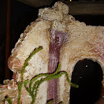 1536-3.JPG