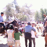 sind_titulo-11 (3).jpg